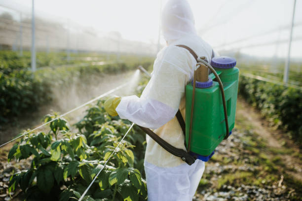 Best Mosquito Control Services  in Manning, SC